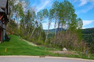Photo 7: 1021 SILVERTIP ROAD in Rossland: Vacant Land for sale : MLS®# 2470639