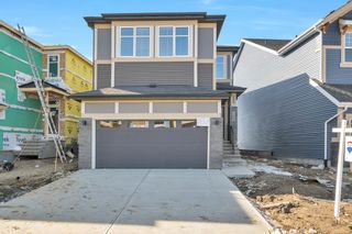 Photo 43: 8036 227 Street in Edmonton: Zone 58 House for sale : MLS®# E4333188