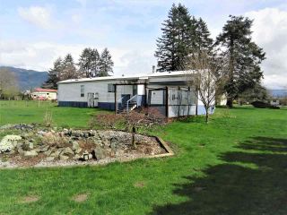 Photo 8: 10689 MCSWEEN Road in Chilliwack: Fairfield Island House for sale in "Fairfield Island" : MLS®# R2306254