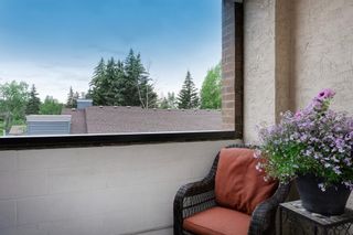 Photo 22: 317 8604 48 Avenue NW in Calgary: Bowness Apartment for sale : MLS®# A1240585