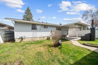 Photo 16: 343 Pinetree Road NE in Calgary: Pineridge Detached for sale : MLS®# A2129760