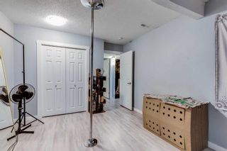 Photo 13: 120 Oaktree Close SW in Calgary: Oakridge Semi Detached (Half Duplex) for sale : MLS®# A2129115