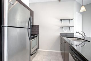 Photo 13: 206 325 3 Street SE in Calgary: Downtown East Village Apartment for sale : MLS®# A1162764