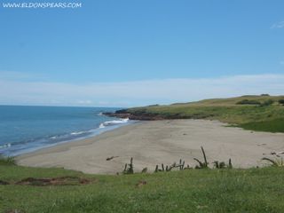 Photo 1: Oceanfront land for sale in Las Tablas