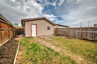 Photo 39: 114 Cranberry Close SE in Calgary: Cranston Detached for sale : MLS®# A2127674