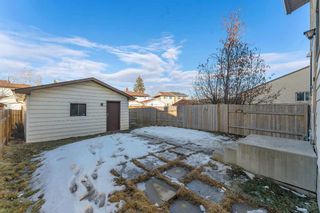 Photo 25: 16 Castlepark Way NE in Calgary: Castleridge Semi Detached (Half Duplex) for sale : MLS®# A2114958