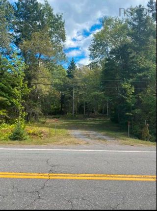 Photo 1: 4488 Little Harbour Road in Little Harbour: 108-Rural Pictou County Vacant Land for sale (Northern Region)  : MLS®# 202200364