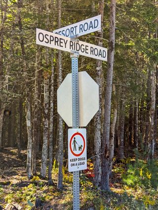 Photo 4: 67 Osprey Ridge Road, Vaughan, Nova Scotia