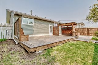 Photo 27: 9960 Warren Road SE in Calgary: Willow Park Detached for sale : MLS®# A2050383