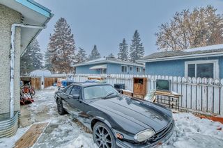 Photo 44: 1528 42 Street SE in Calgary: Forest Lawn Detached for sale : MLS®# A2019956