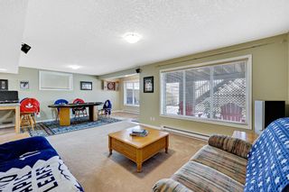 Photo 20: 67 Copperfield Crescent SE in Calgary: Copperfield Detached for sale : MLS®# A1202990