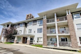 Photo 34: 118 8200 4 Street NE in Calgary: Beddington Heights Apartment for sale : MLS®# A1231279