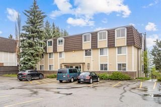 Main Photo: 101 504 Cedar Crescent SW in Calgary: Spruce Cliff Apartment for sale : MLS®# A2135203