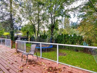 Photo 6: 132 Skipton Cres in CAMPBELL RIVER: CR Campbell River South House for sale (Campbell River)  : MLS®# 743217