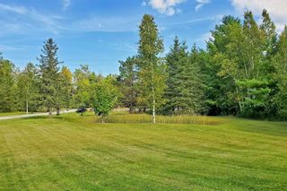 Photo 30: 5945 Old Homestead Road in Georgina: Sutton & Jackson's Point House (Bungalow) for sale : MLS®# N5744704
