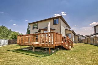 Photo 30: 204 Hawkmere Way: Chestermere Detached for sale : MLS®# A2053906
