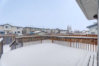 Photo 32: 195 Coventry Hills Drive NE in Calgary: Coventry Hills Detached for sale : MLS®# A2102175