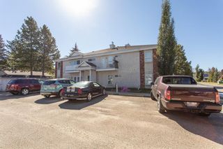 Photo 22: : Lacombe Apartment for sale : MLS®# A2002474