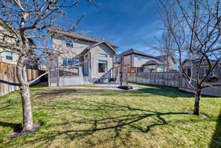 Photo 38: 105 Crystal Shores Drive: Okotoks Detached for sale : MLS®# A2130991
