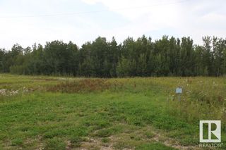 Photo 3: 74 50226 RGE RD 204: Rural Beaver County Vacant Lot/Land for sale : MLS®# E4356411