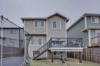 Photo 5: 422 Williamstown Green NW: Airdrie Detached for sale : MLS®# A2118927