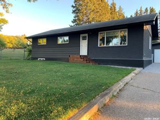 Photo 21: 733 Agnew Street in Prince Albert: Crescent Heights Residential for sale : MLS®# SK922843