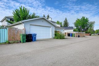 Photo 44: 154 Erin Meadow Close SE in Calgary: Erin Woods Detached for sale : MLS®# A1238377