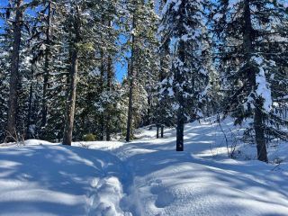 Photo 14: DL 801 HIGHWAY 3B in Rossland: Vacant Land for sale : MLS®# 2474556