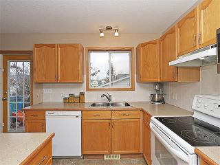 Photo 10: 191 STRATHAVEN Crescent: Strathmore House for sale : MLS®# C4088087