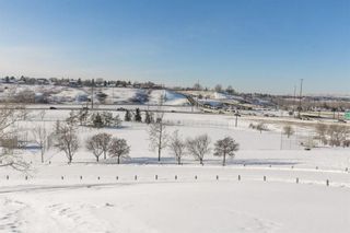 Photo 20: 1423 16A Street NE in Calgary: Mayland Heights Detached for sale : MLS®# A1182831