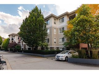 Photo 2: C216 8929 202 Street in Langley: Walnut Grove Condo for sale in "The Grove" : MLS®# R2649679