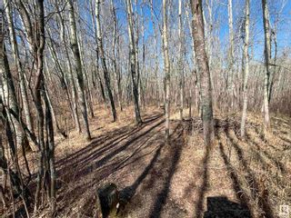 Photo 4: 54 274022 TWP RD 480: Rural Wetaskiwin County Vacant Lot/Land for sale : MLS®# E4385776