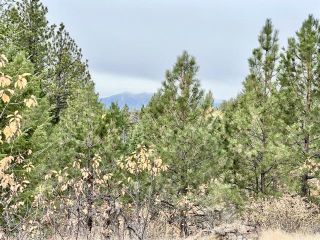 Photo 1: 490 WAPITI Way, in Osoyoos: Vacant Land for sale : MLS®# 191574