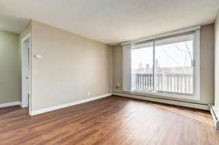 Photo 13: 303 507 57 Avenue SW in Calgary: Windsor Park Apartment for sale : MLS®# A2055026