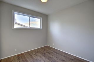 Photo 18: 4603 43 Street NE in Calgary: Whitehorn Detached for sale : MLS®# A1031744