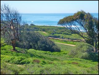 Photo 35: POINT LOMA House for sale : 3 bedrooms : 730 Amiford in San Diego