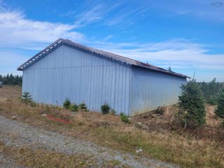 Photo 9: 3200 Clam Harbour Road in Clam Harbour: 35-Halifax County East Vacant Land for sale (Halifax-Dartmouth)  : MLS®# 202226870
