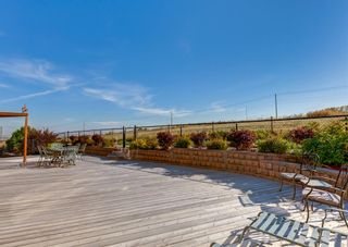 Photo 48: 164 Sherwood Rise NW in Calgary: Sherwood Detached for sale : MLS®# A2003594