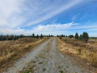 Photo 3: 3200 Clam Harbour Road in Clam Harbour: 35-Halifax County East Vacant Land for sale (Halifax-Dartmouth)  : MLS®# 202226870