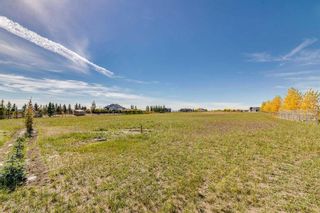 Photo 21: 365051 64 Street E: Rural Foothills County Detached for sale : MLS®# A2129090