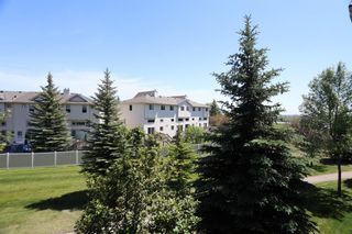 Photo 26: 226 728 Country Hills Road NW in Calgary: Country Hills Apartment for sale : MLS®# A1233737