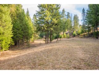Photo 22: 2621 HIGHWAY 3A in Castlegar: House for sale : MLS®# 2475835