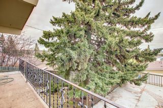 Photo 19: 716 Tavender Road NW in Calgary: Thorncliffe Semi Detached for sale : MLS®# A1213857