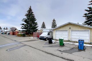 Photo 35: 136 Rundlecairn Rise NE in Calgary: Rundle Detached for sale : MLS®# A2008668