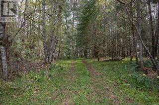 Photo 16: 0 East Rd in Denman Island: Vacant Land for sale : MLS®# 960211