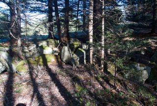 Photo 19: Lot 05-2G NO 329 Highway in Fox Point: 405-Lunenburg County Vacant Land for sale (South Shore)  : MLS®# 202129825