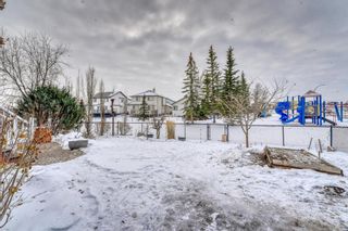 Photo 27: 189 West Creek Pond: Chestermere Detached for sale : MLS®# A2015190