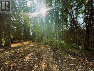 Photo 6: 931 Wolf Trail in Sandy Lake: Vacant Land for sale : MLS®# A2063552