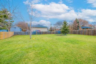Photo 6: 574 Olive Avenue in Oshawa: Donevan House (Bungalow) for sale : MLS®# E5843527