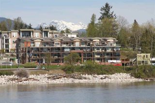 Photo 12: 308 22327 RIVER Road in Maple Ridge: West Central Condo for sale in "Reflections On The River" : MLS®# R2240954